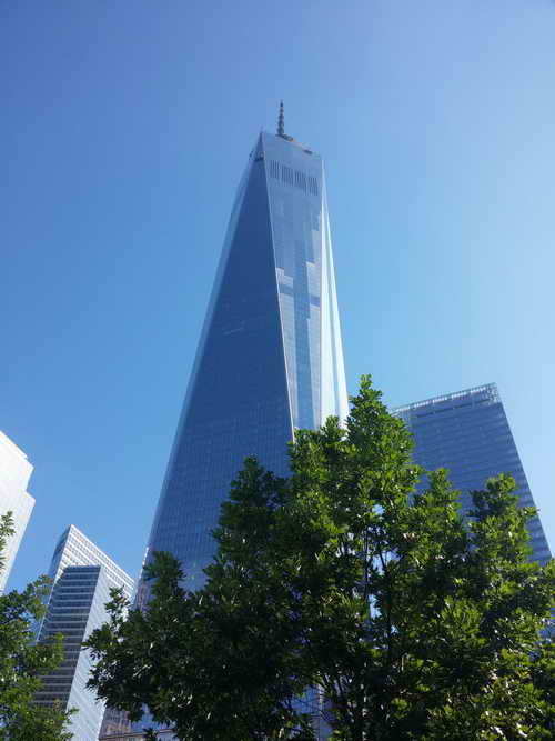 NYC_2015-06-17 08-42-12_CELL_20150617_084212